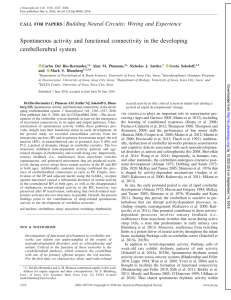 Spontaneous activity and functional connectivity in the developing