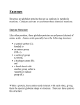 Enzymes - hbwbiology.net