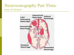 Neurosonography Part Three