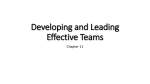 Developing and Leading Effective Teams