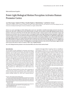 Point-Light Biological Motion Perception Activates Human Premotor