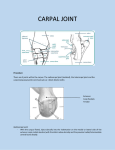 Carpal Joint - IHMC Public Cmaps (3)