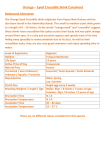 Orange – Eyed Crocodile Skink Caresheet Background Information