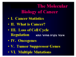 proto-oncogenes