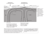 Spreading Ridge Axis, Divergent Plate Boundary Subduction Zone