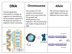 Chromosome Allele - GZ @ Science Class Online