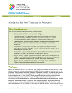 Marijuana for Non-Therapeutic Purposes (Policy Brief)