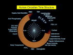 Biological clock - Science Mission