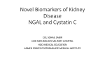 Novel Biomarkers of Acute Kidney Injury Neutrophil Gelatinase