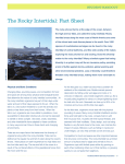 the Rocky Intertidal: fact Sheet