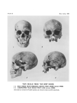 52. Negro Skeletal Remains from Indian Sites in the West Indies