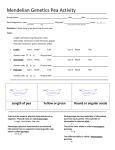 Mendelian Genetics Pea Activity