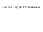 Cell and Enzyme Immobilization