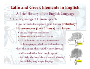 Latin and Greek Elements in English