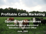 Profitable Cattle Marketing