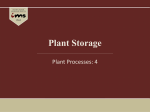 Plant Storage