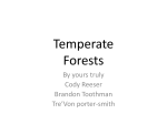 Temperate Forests - Hardin.k12.ky.us