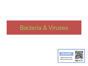 viruses? Bacteria