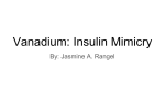 Vanadium: Insulin Mimicry