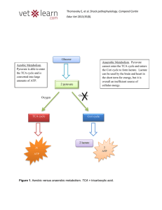 Thomovsky E, et al. Shock pathophysiology. Compend Contin Educ