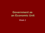 Government as an Economic Unit