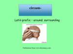 latin_prefix_circum1-nearpod