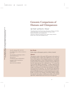 Genomic Comparisons of Humans and Chimpanzees