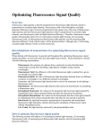 Optimizing Fluorescence Signal Quality