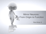 Mirror Neurons : From Origin to Function