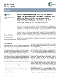 Production of long chain alcohols and alkanes upon coexpression of