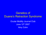 Genetics of Duane`s Retraction Syndrome