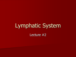 Lymphatic system Lecture #2