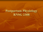 Postpartum Physiology RNSG 2308