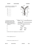 Antibodies and Antigens