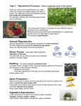 Asexual Reproduction Spore Production – Vegetative Reproduction –