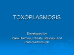 Toxoplasmosis - SFASU - Center for Teaching and Learning