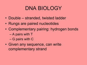DNA Biology - De Anza College