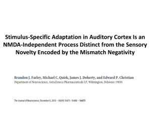 Stimulus-Specific Adaptation in Auditory Cortex Is an NMDA