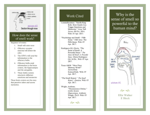 The Smell Report – Emotion. Web. 07 Apr. 2017. - humanphys-chan