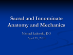 Sacral and Innominate Anatomy and Mechanics