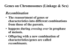 Genes on Chromosomes - Capital High School