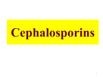 Lecture 6 Cephalosporins MBBS 2012 Taken (2)