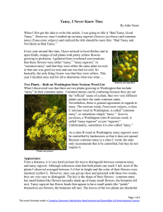 Tansy, I Never Knew Thee - Plant Steward Home Page