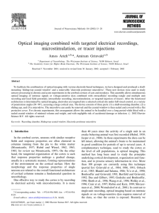 Optical imaging combined with targeted electrical recordings