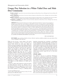 Cougar Prey Selection in a White-Tailed Deer and Mule