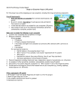 Design an Ecosystem Project (100 points)