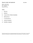 PHASE II DRUG METABOLISM