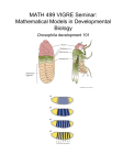 PowerPoint of Drosophila Development 101