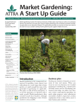 Market Gardening: A Start Up Guide ~ PDF