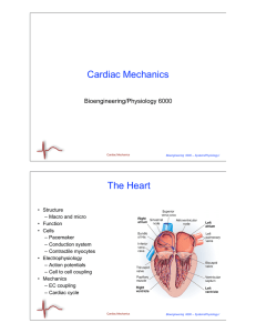 Cardiac Mechanics The Heart